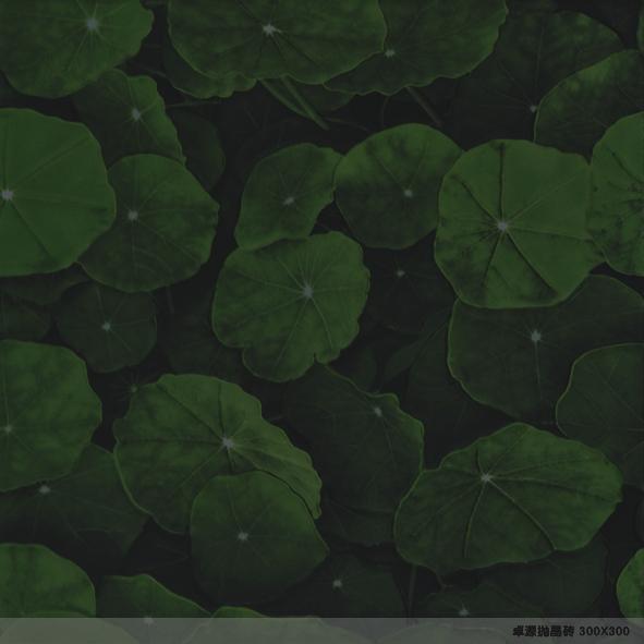 地砖瓷片:抛光砖