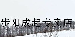 步阳成起专卖店
