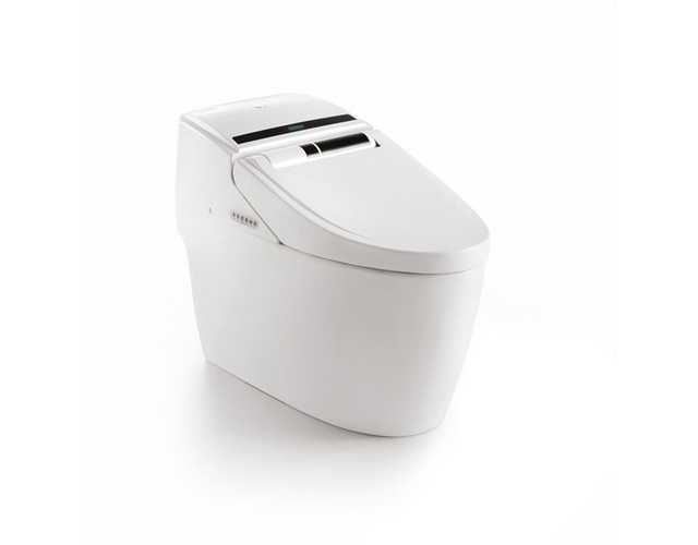 卫生洁具:蹲厕与坐便器