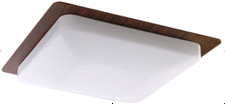 灯具:吸顶灯