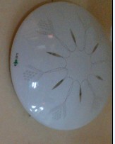 灯具:吸顶灯