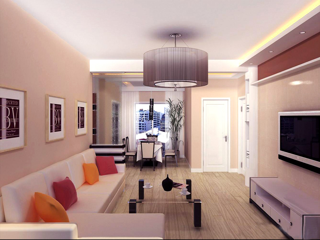 公寓式客厅效果