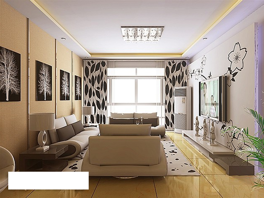 公寓式客厅效果