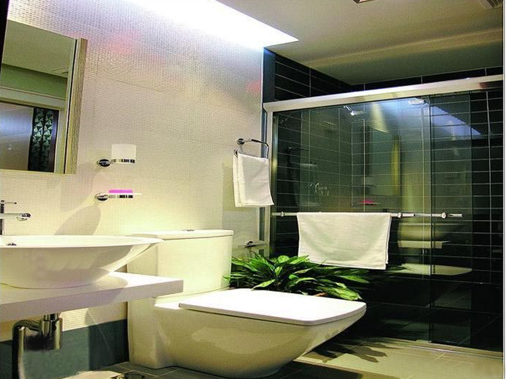 公寓式卫生间效果