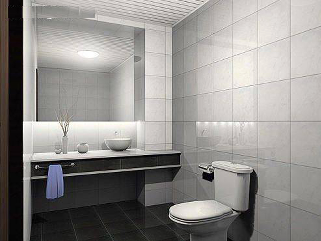 公寓式卫生间效果