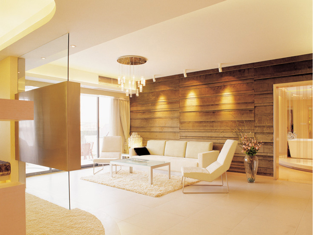 公寓式客厅效果