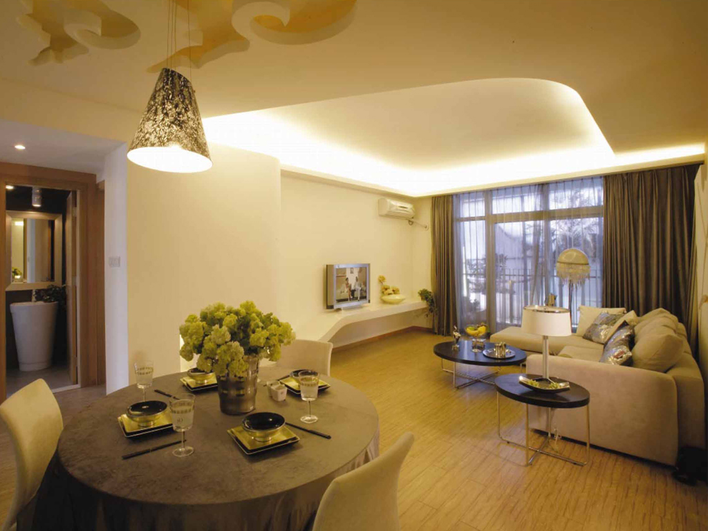 公寓式客厅效果