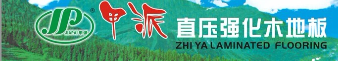 昌欣地板和甲派地板专卖店