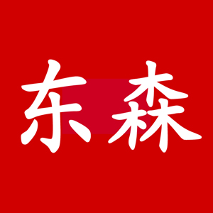 山西太原东森装饰公司